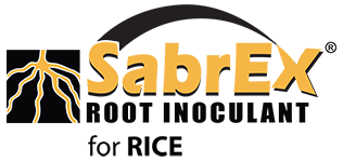SabrEx的大米商标